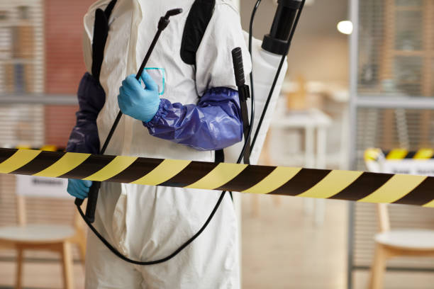 Professional Sewage Cleanup technician working in Farmington, MN